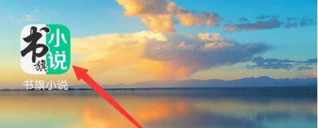 书旗小说阅读喜好怎么设置_书旗小说设置阅读喜好的方法介绍