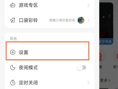 网易云音怎么隐身_网易云音隐身教程