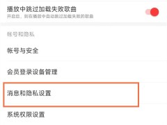 网易云音怎么隐身_网易云音隐身教程