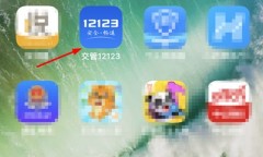 交管12123怎么查看电子驾驶证_交管12123查看电子驾驶证教程