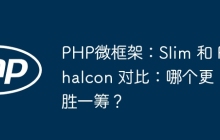 PHP微框架：Slim 和 Phalcon 对比：哪个更胜一筹？