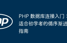 PHP 数据库连接入门：适合初学者的循序渐进指南