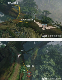 《逆水寒》手游新赛季金箱子位置在哪