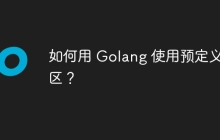 如何用 Golang 使用预定义时区？