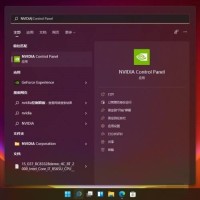 Win11怎么打开nvidia控制面板 Win11打开nvidia控制面板的方法