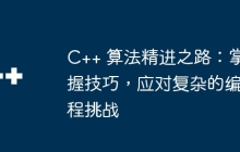 C++ 算法精进之路：掌握技巧，应对复杂的编程挑战