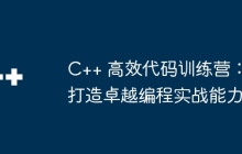 C++ 高效代码训练营：打造卓越编程实战能力