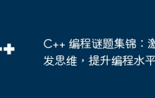 C++ 编程谜题集锦：激发思维，提升编程水平