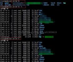 聚焦：Linux系统下常见Xshell运行命令汇总