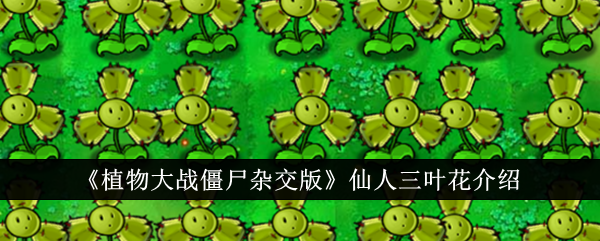 《植物大战僵尸杂交版》仙人三叶花介绍