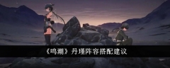 《鸣潮》丹瑾阵容搭配建议