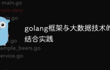 golang框架与大数据技术的结合实践