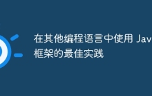 在其他编程语言中使用 Java 框架的最佳实践
