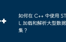 如何在 C++ 中使用 STL 加载和解析大型数据集？