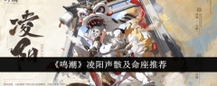 《鸣潮》凌阳声骸及命座推荐