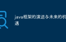 java框架的演进与未来的机遇