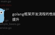 golang框架开发流程的性能提升