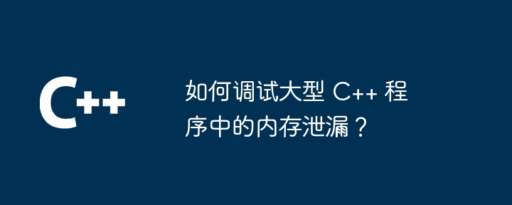 如何调试大型 C++ 程序中的内存泄漏？