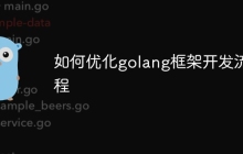如何优化golang框架开发流程