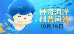 海龙和海马是亲戚,猜猜谁的尾巴能抓取食物