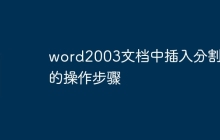 word2003文档中插入分割线的操作步骤