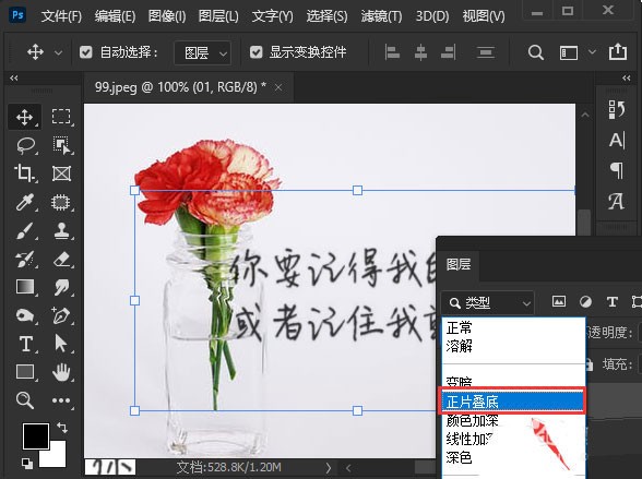 ps图片白色背景怎么去掉_ps图片白色背景去掉步骤一览