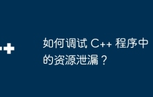 如何调试 C++ 程序中的资源泄漏？