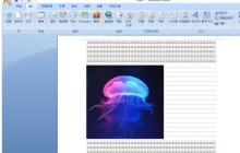 word2010设计文字效果的操作教程