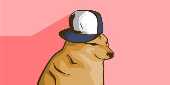 WIF币是哪个链上的?WIF币最新价格