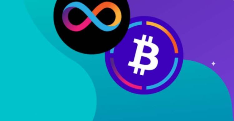 ICP和DOT币哪个潜力大?ICP和DOT币区别是什么?