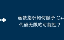 函数指针如何赋予 C++ 代码无限的可能性？