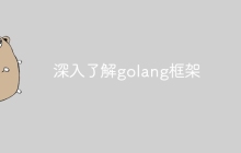 深入了解golang框架