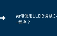 如何使用LLDB调试C++程序？