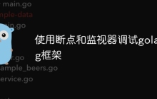 使用断点和监视器调试golang框架