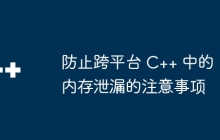 防止跨平台 C++ 中的内存泄漏的注意事项