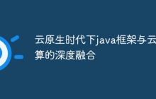 云原生时代下java框架与云计算的深度融合