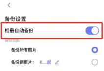 阿里云盘怎么设置相册自动备份 设置相册自动备份的操作方法