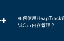如何使用HeapTrack调试C++内存管理？