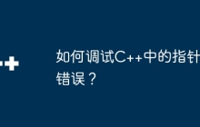如何调试C++中的指针错误？