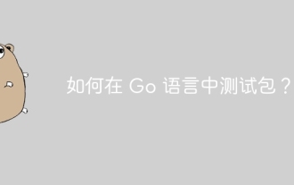 Go에서 패키지를 테스트하는 방법은 무엇입니까?