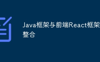 Integration of Java framework and front-end React framework