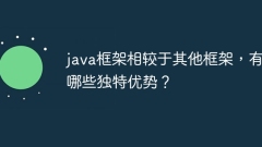 Was sind die einzigartigen Vorteile des Java-Frameworks im Vergleich zu anderen Frameworks?