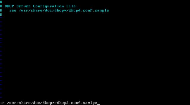 DHCP common configuration file analysis