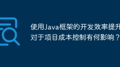 What impact does the improvement of development efficiency using Java framework have on project cost control?