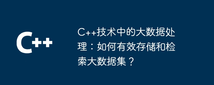 C++技術中的大數據處理：如何有效地儲存和檢索大數據集？