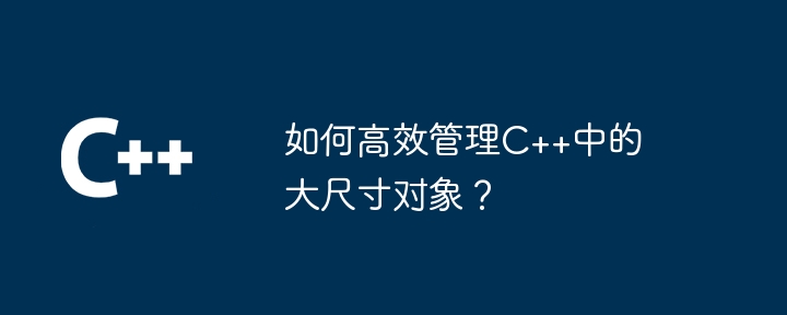 如何有效率地管理C++中的大尺寸物件？