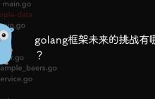golang框架未来的挑战有哪些？