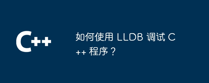 How to use LLDB to debug C++ programs?