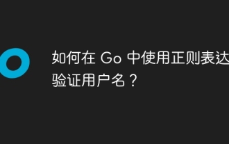 如何在 Go 中使用正则表达式验证用户名?