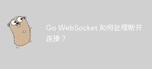 Go WebSocket은 연결 끊김을 어떻게 처리합니까?